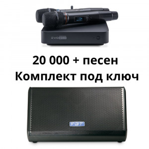 Караоке система Evobox Classic + акустика под ключ